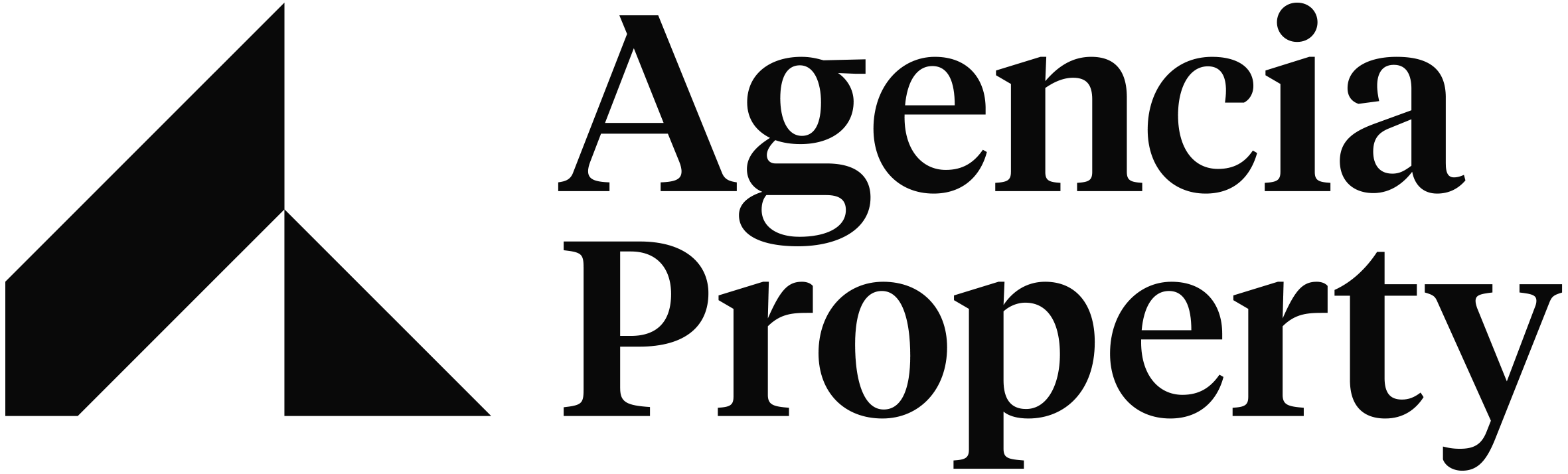 Agencia Property logo large